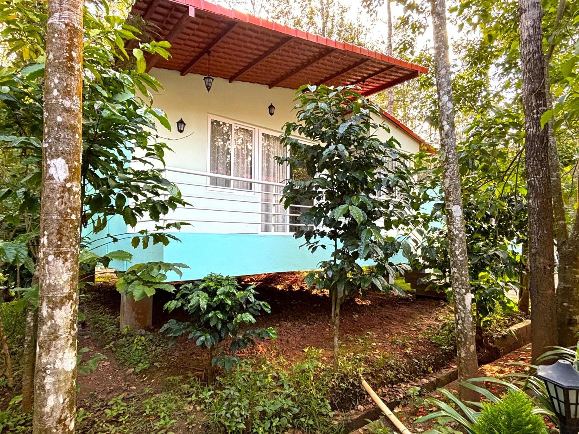 Ecstasy Tent Stay With Swimming Pool & Common Washroom Чикмагалур Екстер'єр фото